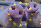 EU Appoints First Animal Welfare Commissioner in Historic Move to Strengthen Animal Protection Policies